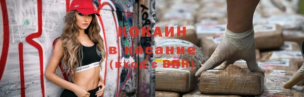 мет Касимов