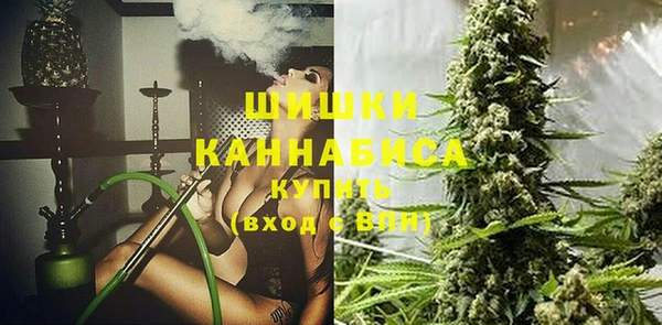 хмурый Карпинск