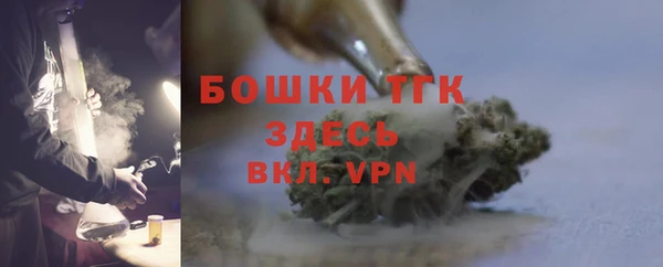 хмурый Карпинск