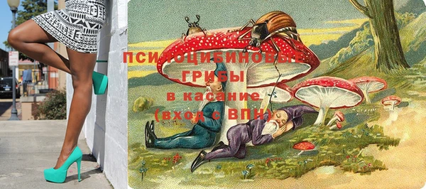 мет Касимов