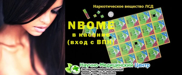 мет Касимов