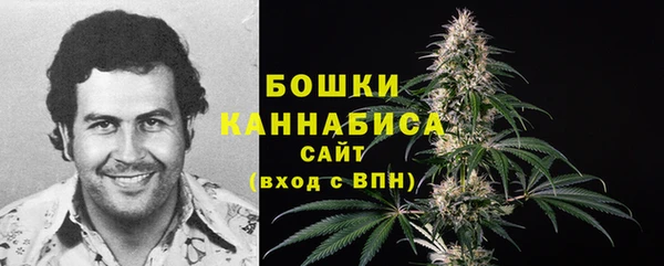 мет Касимов