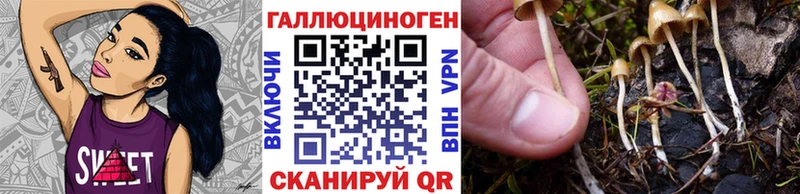 Купить где  Заполярный  Псилоцибиновые грибы ЛСД 